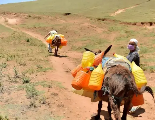 الحكومة: صندوق التنمية المندمجة يستهدف القطع مع مغرب السرعتين وتطوير المناطق المهمشة