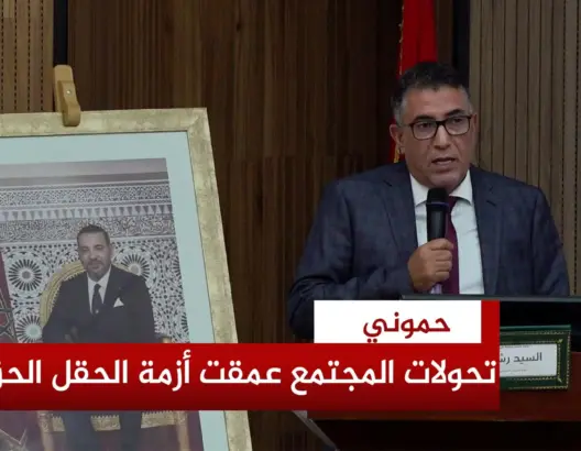 حموني ينتقد تبخيس العمل البرلماني