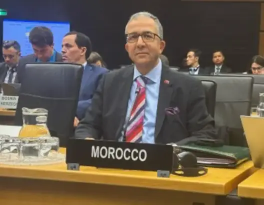 المغرب في فيينا: الحكم الذاتي “الأساس الوحيد” لتسوية نزاع الصحراء.. وأمن أوروبا رهين باستقرار المتوسط
