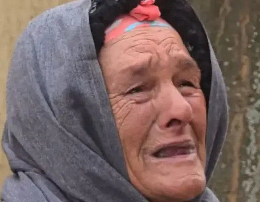 رافقها طيلة 13 سنة.. قتل مصالح الجماعة لكلب يعمّق عزلة مسنة بمريرت