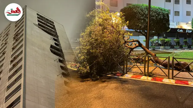 سقوط أشجار وانهيار واجهة فندق شهير.. عاصفة “إيميليا” تضرب طنجة وتخلّف خسائر مادية