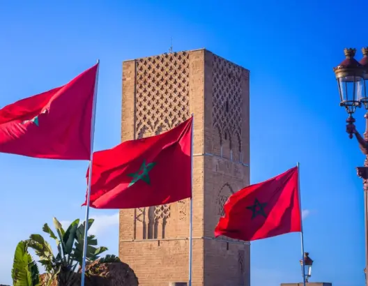المغرب يجدد انفتاحه الحقوقي.. تحديد موعد جديد لزيارة “مقررة التعذيب” في يونيو المقبل