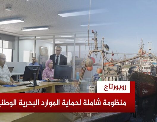 نحو استدامة الثروة السمكية.. المغرب يعزز منظومة مراقبة الصيد البحري بإجراءات صارمة وتقنيات متطورة