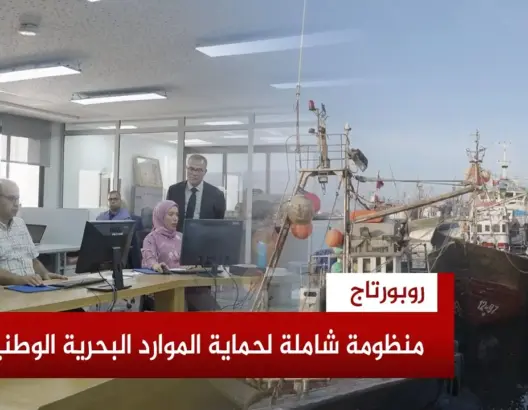 نحو استدامة الثروة السمكية.. المغرب يعزز منظومة مراقبة الصيد البحري بإجراءات صارمة وتقنيات متطورة