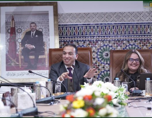 لحسن السعدي، كاتب الدولة المكلف بالصناعة التقليدية والاقتصاد الاجتماعي والتضامني، يترأس اجتماعا لمجلس إدارة مكتب تنمية التعاون (ODCO)