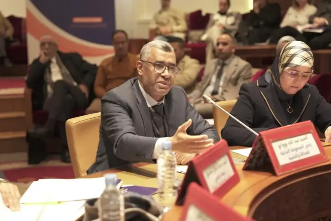 بووانو: “الدفع بعدم الدستورية” اختبار لسمو الدستور.. ويجب ألا يتحول لحق “نخبوي” للأغنياء