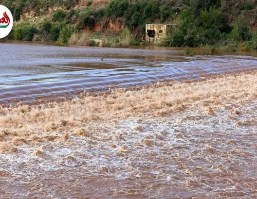 صبيب قوي لنهر أم الربيع بسد مزاوير بأزمور يلفت الأنظار