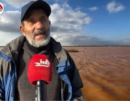 أمطار الخير تعيد الحياة لسهول دكالة