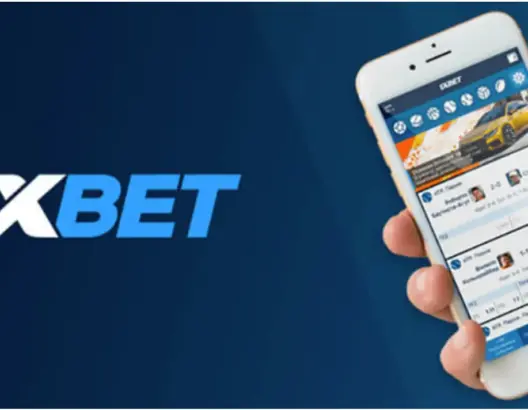 حكم قضائي ينتصر لـ”MDJS” ويأمر بحجب “1XBET” وعشرات منصات القمار غير المرخصة بالمغرب