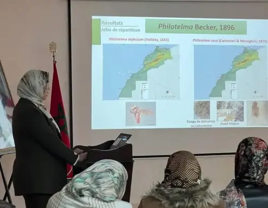 الباحثة رشيدة أخريف تكتشف نوعا جديدا من الذباب على مستوى العالم