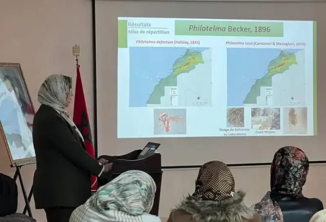 الباحثة رشيدة أخريف تكتشف نوعا جديدا من الذباب على مستوى العالم