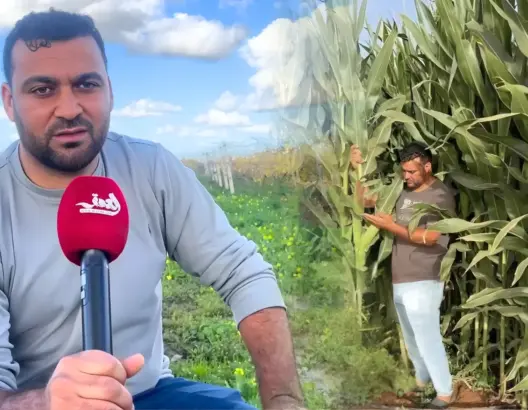 الشغف قبل الربح.. قصة فلاح شاب من دكالة بنى نجاحه من الأرض (فيديو)