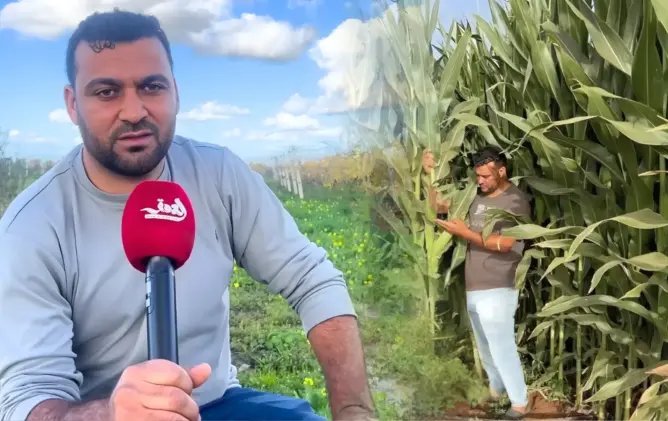 الشغف قبل الربح.. قصة فلاح شاب من دكالة بنى نجاحه من الأرض (فيديو)