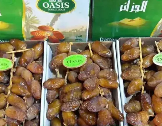 دقلة نور” في مرمى النيران.. هل يتخلى المغرب عن استيراد التمور الجزائرية؟