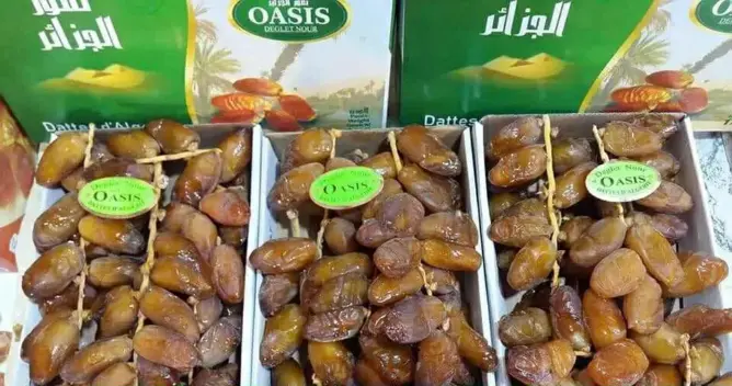 دقلة نور” في مرمى النيران.. هل يتخلى المغرب عن استيراد التمور الجزائرية؟