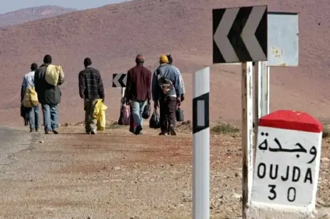 غابة رأس عصفور.. جحيم المهاجرين الأفارقة على الحدود المغربية الجزائرية