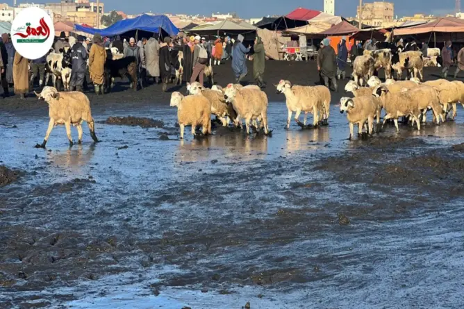 أوحال تفضح اختلالات السوق الأسبوعي بسيدي بنور