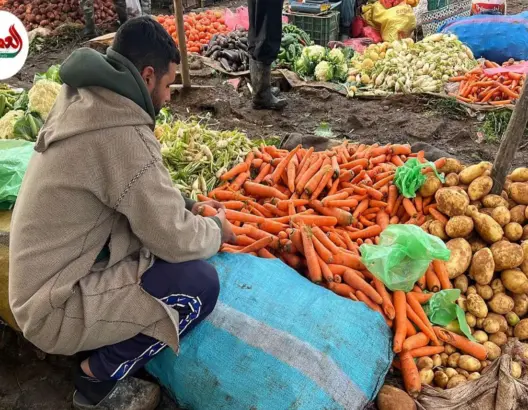 وفرة الخضر وتراجع الأسعار بسوق سيدي بنور قبيل رمضان
