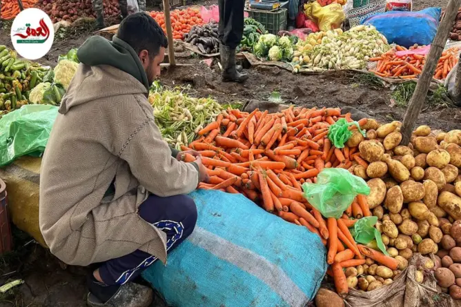 وفرة الخضر وتراجع الأسعار بسوق سيدي بنور قبيل رمضان