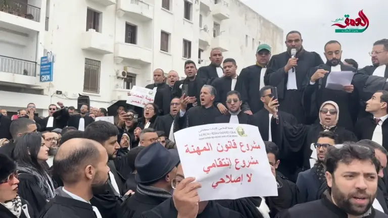 بعد نشره في الجريدة الرسمية.. قانون مهنة المحاماة يدخل حيز التنفيذ بعد أشهر من الجدل