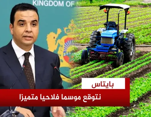 الحكومة تتوقع موسما فلاحيا واعدا