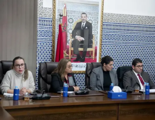 البام: قرار “الدستورية” بخصوص الصحافة مكسب وحكمة المحامين كفيلة بتجاوز خلافات قانون المهنة