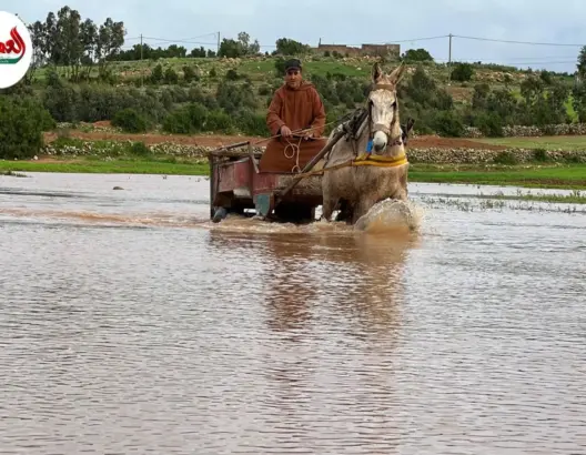 سيول وادي فليفل تعزل دواوير بإقليم الجديدة