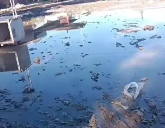برك طينية وكلاب ضالة تحاصران سوق “رأس العين” باليوسفية.. ومطالب عاجلة بالتدخل