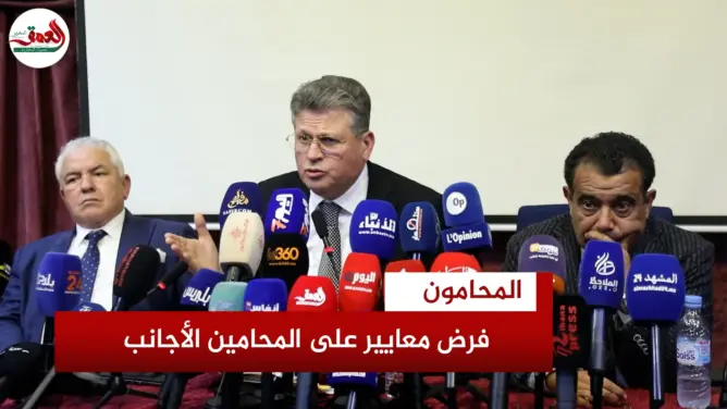 المحامون يطالبون باشتراط إتقان العربية على الأجانب