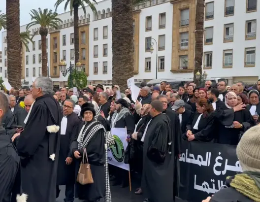 منظمة حقوقية تحذر من التراجع عن استقلالية المحاماة وترفض تقييد حرية تعبير ممارسيها