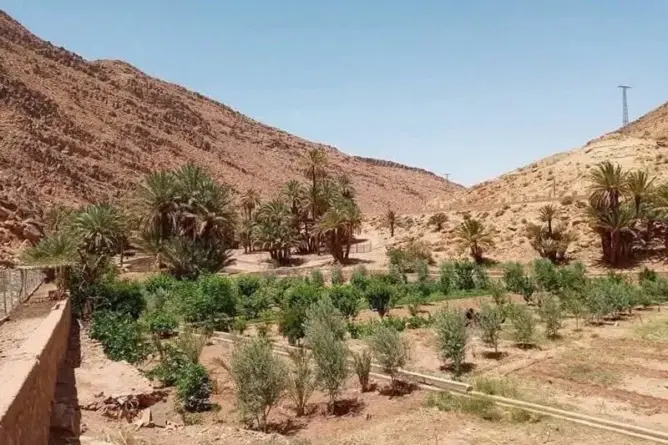 الاستفزازات الجزائرية تسائل الحكومة حول حماية الحقوق التاريخية بالحدود الشرقية