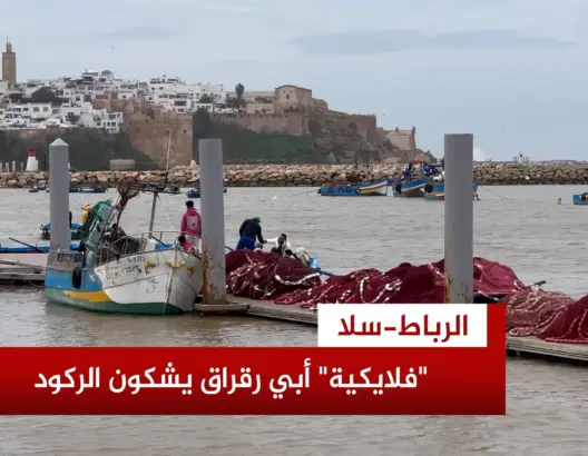 “فلايكية” أبي رقراق يشكون تراجع النشاط وغياب البنية التحتية