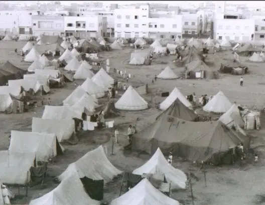 في ذكراها الـ50.. مطالب حقوقية مغربية بإنصاف وجبر ضرر ضحايا “المسيرة الكحلا” بالجزائر