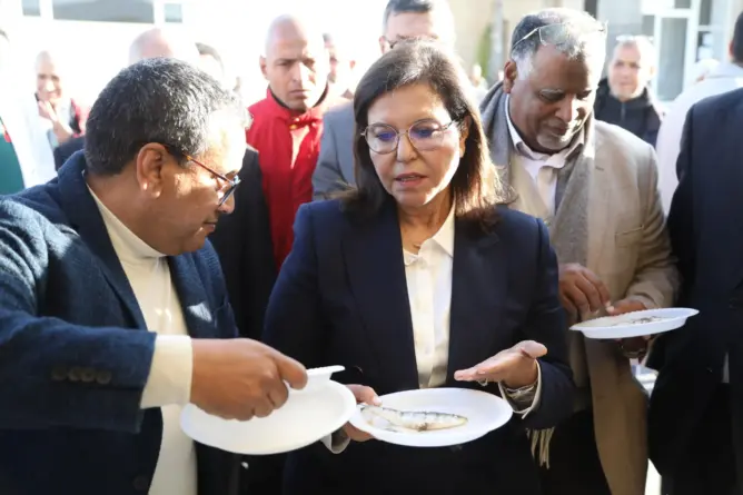السردين مجمد لأول مرة.. الدريوش تعطي انطلاقة مبادرة “الحوت بثمن معقول”
