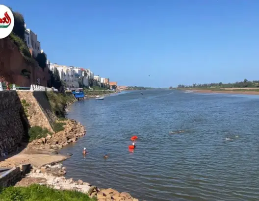 وادي أم ربيع بأزمور يستعيد عافيته بعد الأمطار
