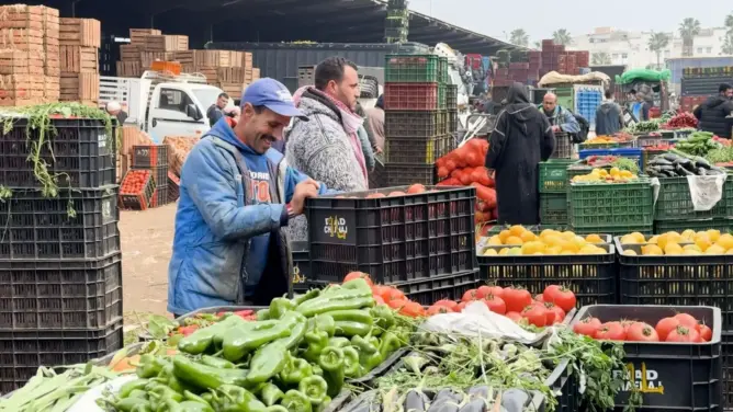 نادية فتاح: لا يمكن للحكومة تحديد الأسعار سلفا.. ولم نقف مكتوفي الأيدي أمام الغلاء