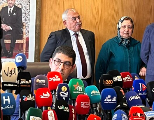 وزير الشباب والثقافة والتواصل، المهدي بنسعيد،