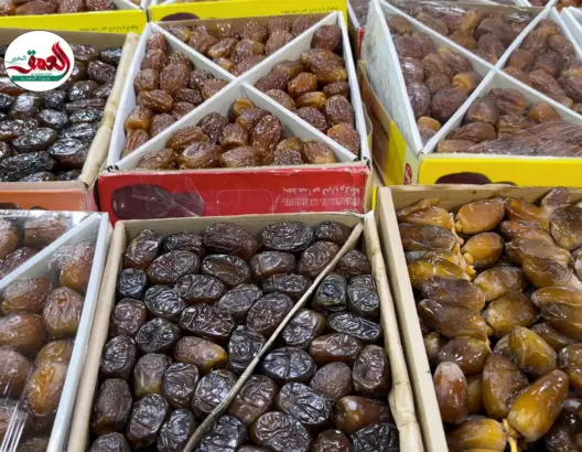 ارتفاع أسعار التمر بفاس في رمضان