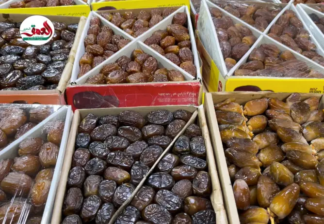 ارتفاع أسعار التمر بفاس في رمضان