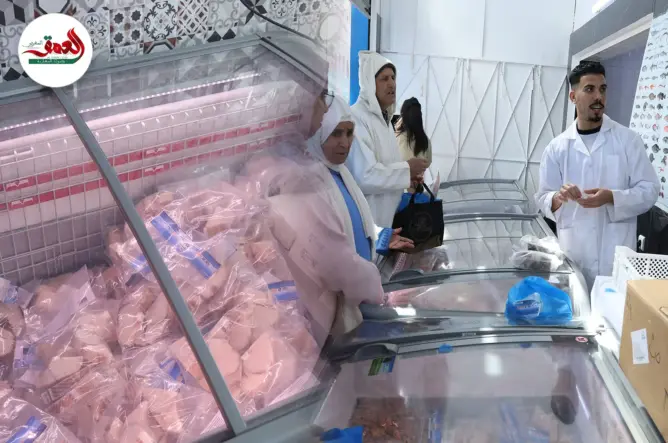 الحوت بثمن معقول: الأسماك المجمدة تجذب سلاويين في رمضان