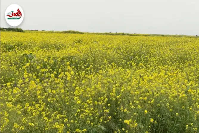 طبيعة دكالة تسحر الأنظار