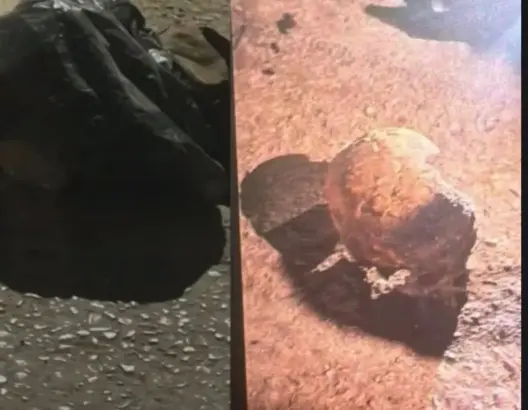 جمجمة بشرية تستنفر السلطات المحلية والأمنية بفاس