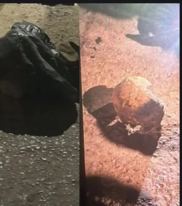 جمجمة بشرية تستنفر السلطات المحلية والأمنية بفاس