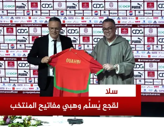 لحظة تنصيب وهبي مدربا جديدا للأسود