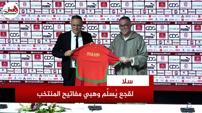 لحظة تنصيب وهبي مدربا جديدا للأسود
