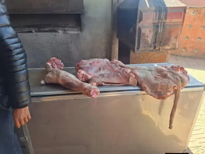 ضبط نحو 100 كيلوغرام من اللحوم الفاسدة بأكلموس ووضع جزار تحت الحراسة النظرية