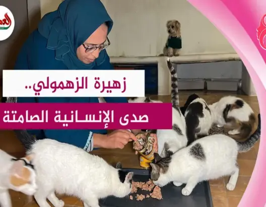 زهيرة الزهمولي.. أيقونة الرفق بالقطط والكلاب الضالة بأزمور