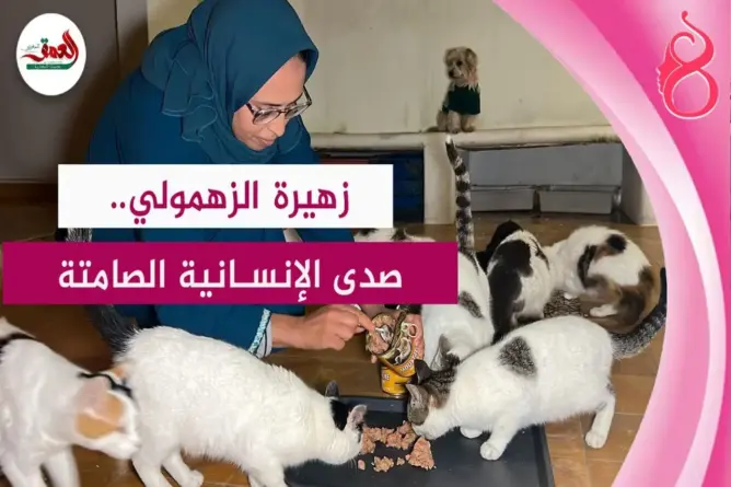 زهيرة الزهمولي.. أيقونة الرفق بالقطط والكلاب الضالة بأزمور