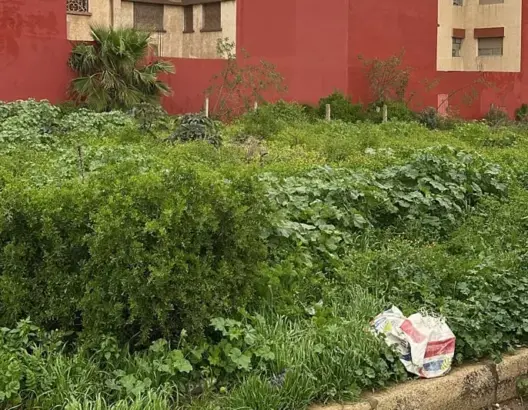 ضريبة الأراضي العارية.. الداخلية ترصد تلاعبات بالمليارات في جبايات جماعات بالبيضاء