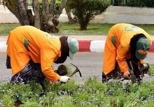 أسماء وهمية في لوائح العمال العرضيين تشعل تحقيقات داخل جماعات بجهة البيضاء